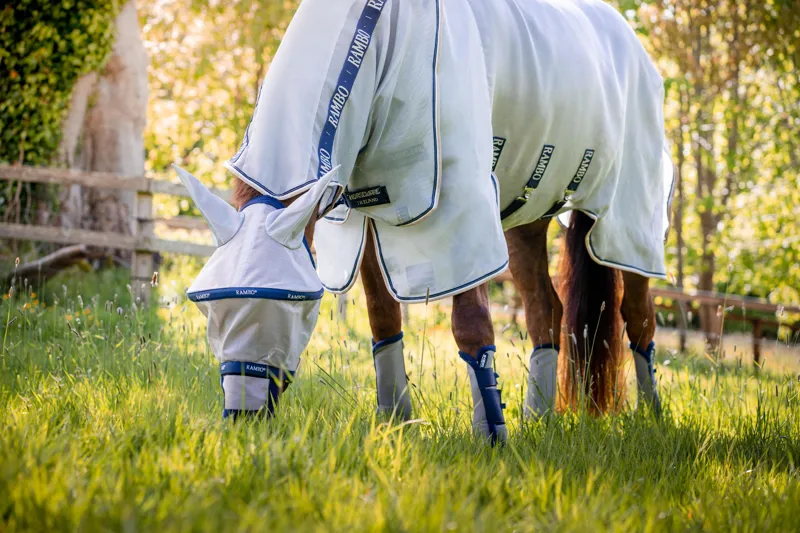 Rambo Protector Fly Rug Silver Navy-1
